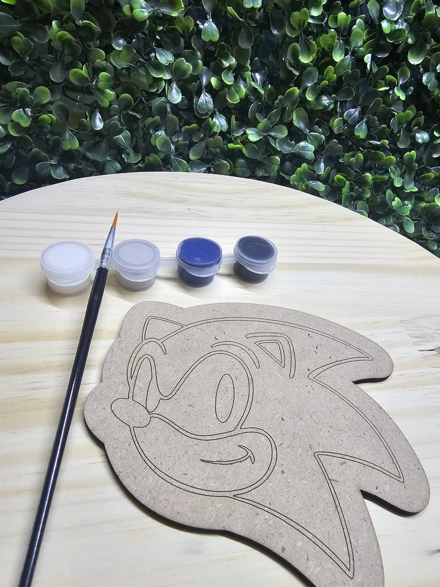 Sonic paint set