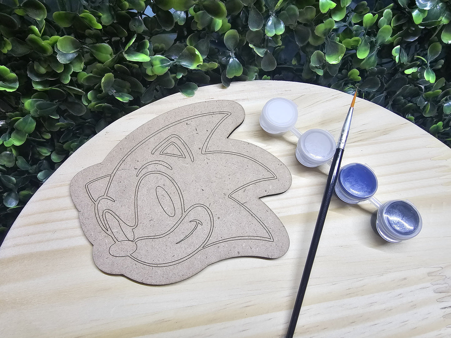 Sonic paint set