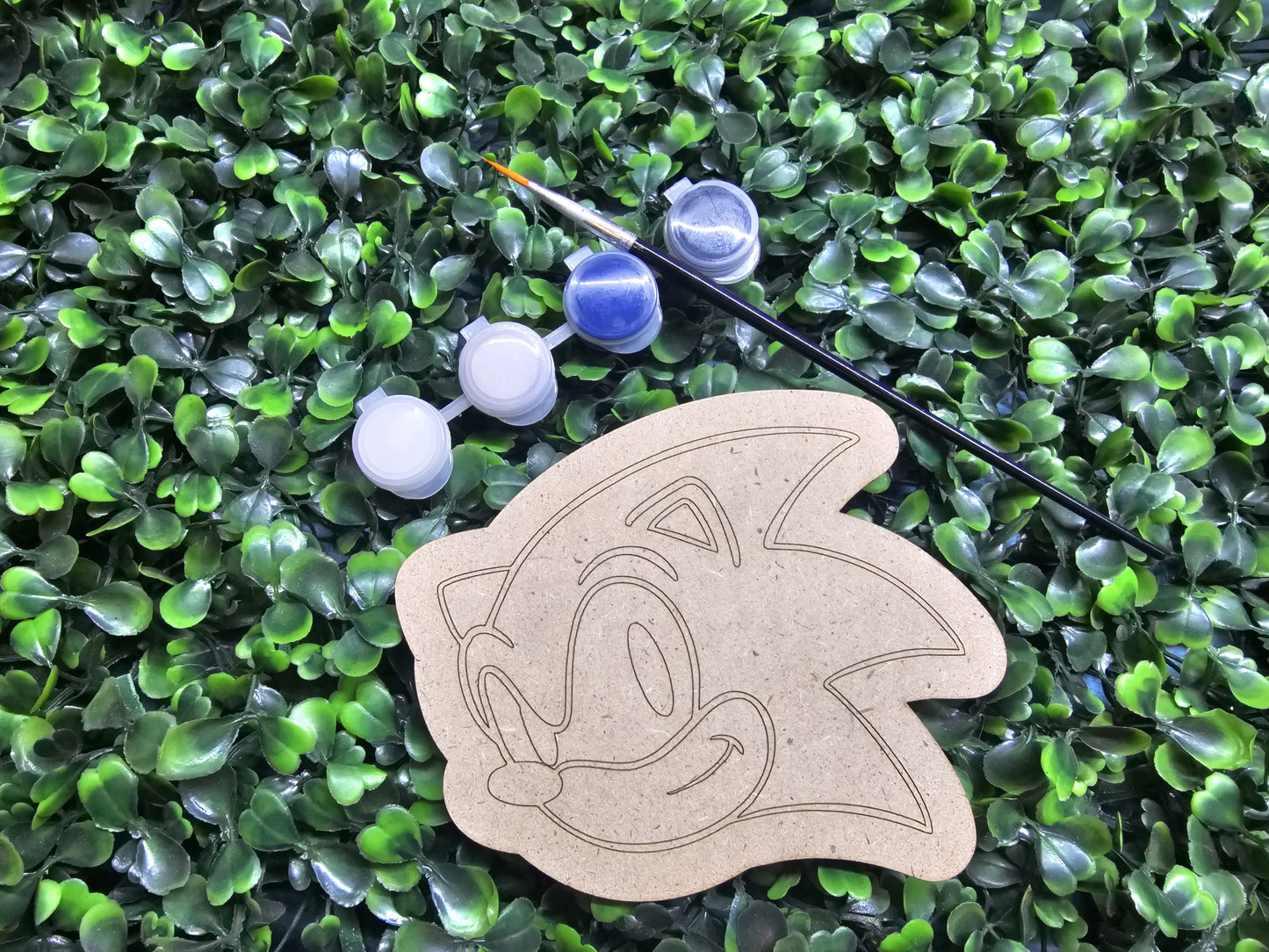 Sonic paint set